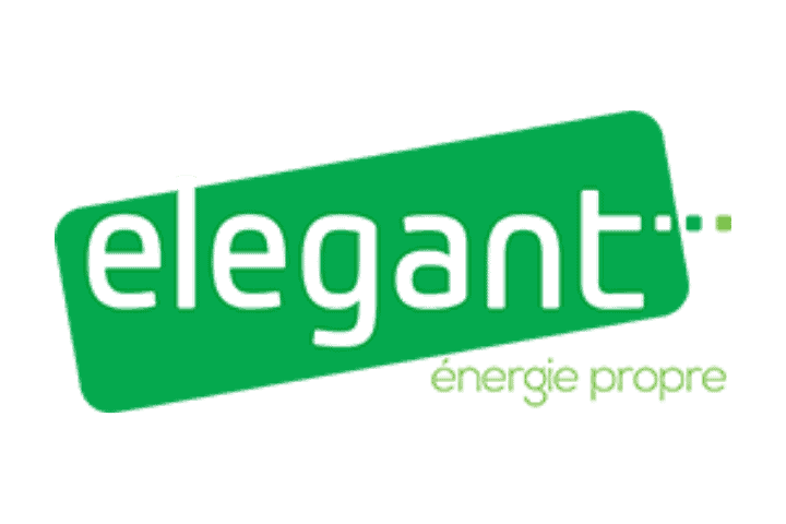 Elegant Logo